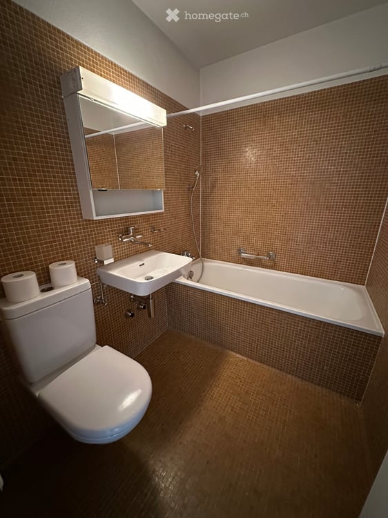 2.5-Zimmer-Wohnung mit Balkon 4