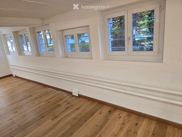 NEU RENOV. Gewerberaum mit Aussenparkplatz 4