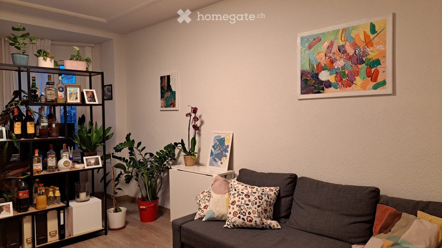 A cozy living room with a grey sofa adorned with colorful pillows, a black shelving unit holding bottles and potted plants, and several framed artworks on the walls.