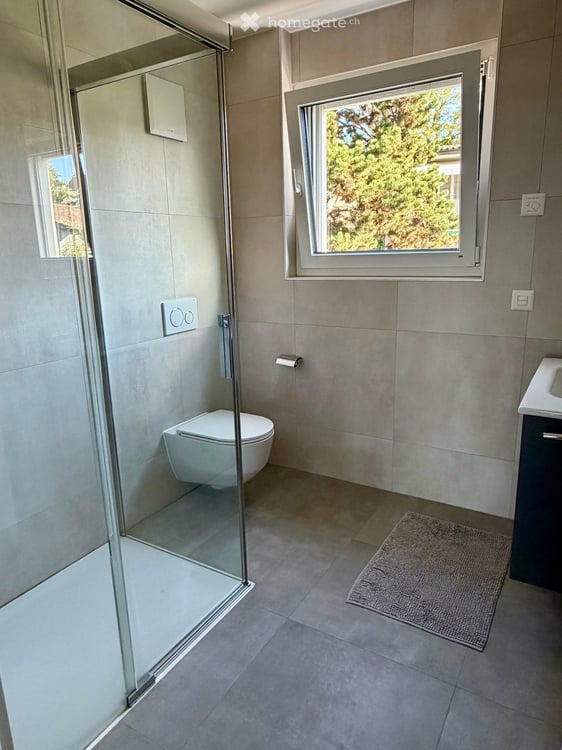 Reprise de bail - 2.5 pièces neuf 65.9m2 + terrasse 18.4m2 + cave + Place de parc, VUE LAC 12