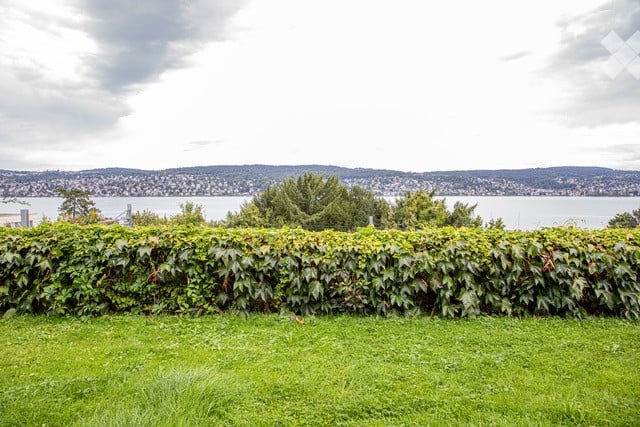 Lush green garden with a dense hedge border, overlooking a scenic cityscape and body of water under a partly cloudy sky.