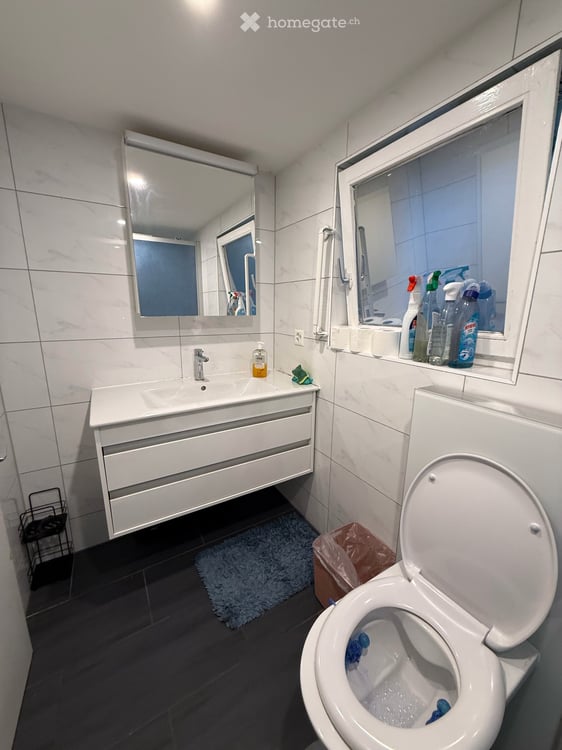 Charmantes 5.5-Zimmer-Einfamilienhaus mit Ladenlokal an der Alpsteinstrasse in Herisau 22