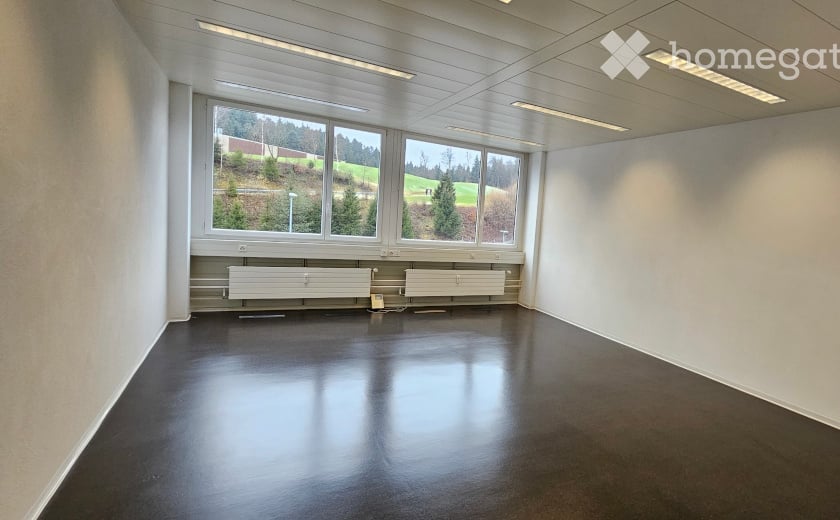 empty room, white walls, black floor, large window, ceiling lights