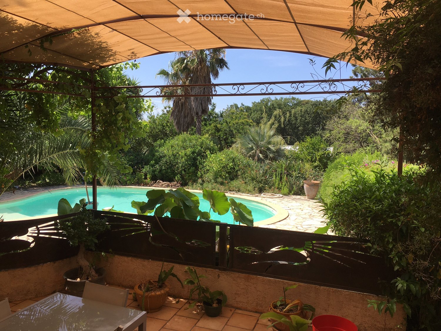 A sunny outdoor patio with a swimming pool, surrounded by lush greenery and potted plants. The patio features a tiled floor, a glass table, and a covered seating area with a canopy.