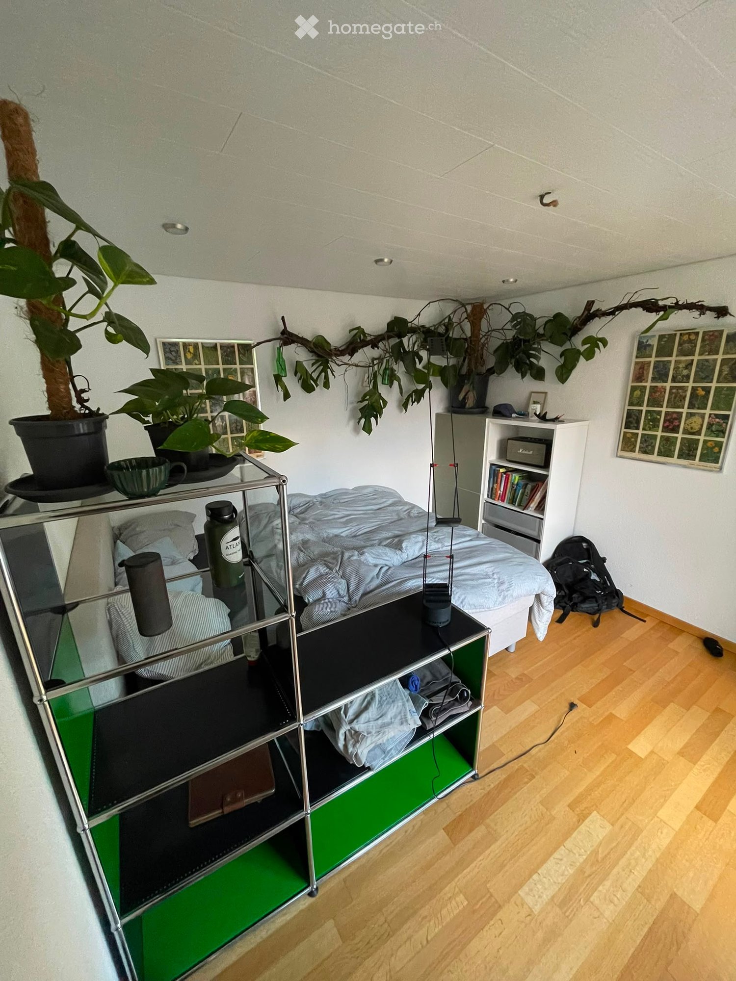 Cozy bedroom with a bed, a metal shelf with various items, a bookshelf, potted plants, and a backpack on the floor.
