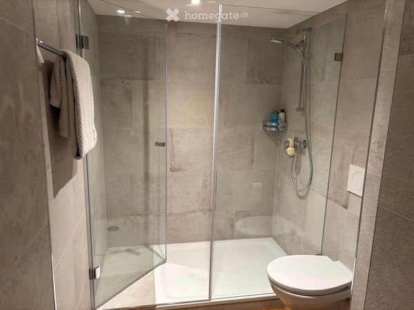 Gemütliche 2.5-Zimmer-Wohnung in Rapperswil SG – frisch renoviert mit Terrasse 10