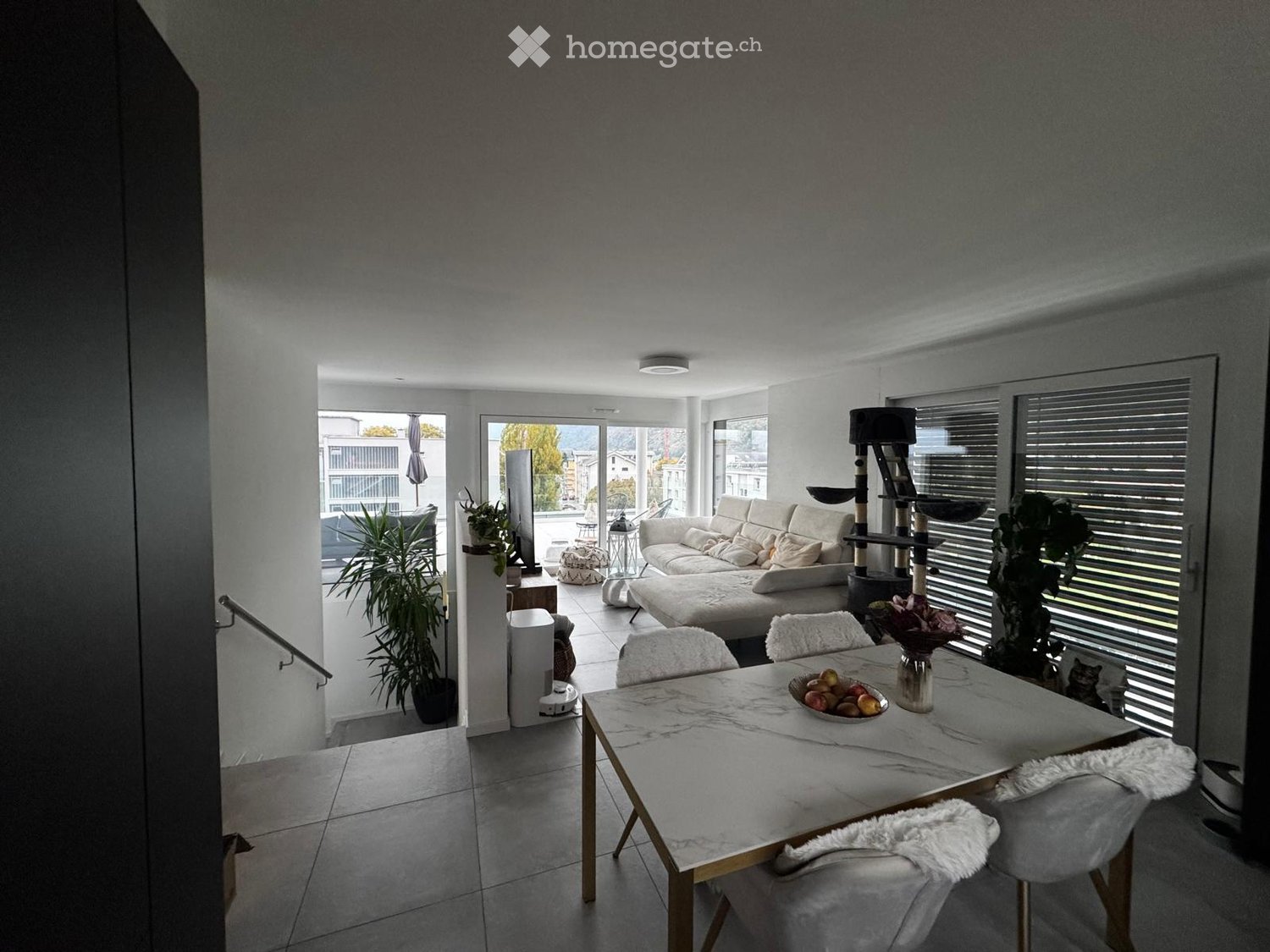 Modern living and dining area with white walls, large windows, a white sofa, a marble dining table with chairs, a cat tree, and decorative plants.