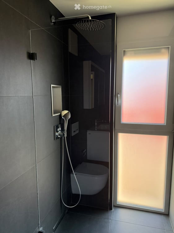 Neubauwohnung in Allschwil inkl. Parkplatz und eigenem Waschturm 5