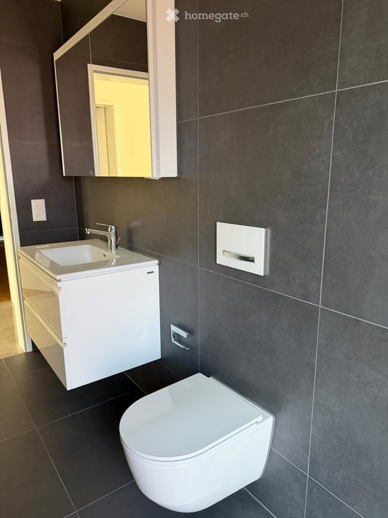 Neubauwohnung in Allschwil inkl. Parkplatz und eigenem Waschturm 6