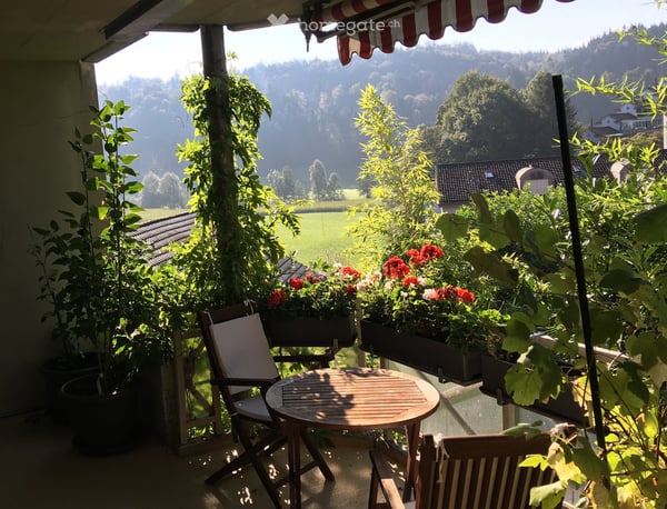 Frisch renoviertes Wohnglück: Helle 4.5-Zimmer-Wohnung an ruhiger Lage in Adligenswil 1