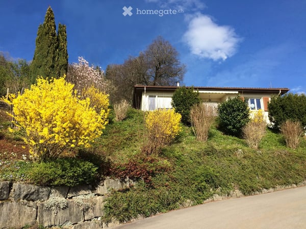 Einfamilienhaus 6 Zimmer ( Seesicht,traumhaftes Panorama über den Obersee, Linthebene,Berge)) 4