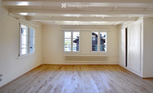 Ökologisch renovierte Wohnung im Dorfkern von Richterswil 8