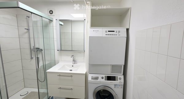 Helle 4.5-Zimmer-Wohnung mit sehr guter Infrastruktur und perfekter Wohnlage 9