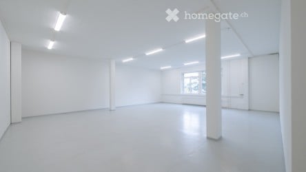 Büro- / Gewerbeflächen an attraktiver Lage in Thalwil 6