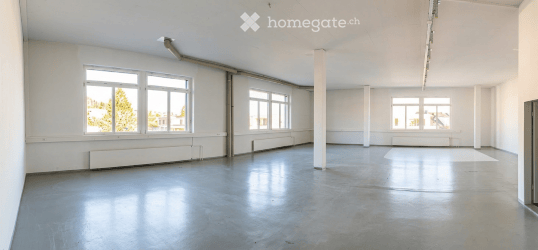 Büro- / Gewerbeflächen an attraktiver Lage in Thalwil 3