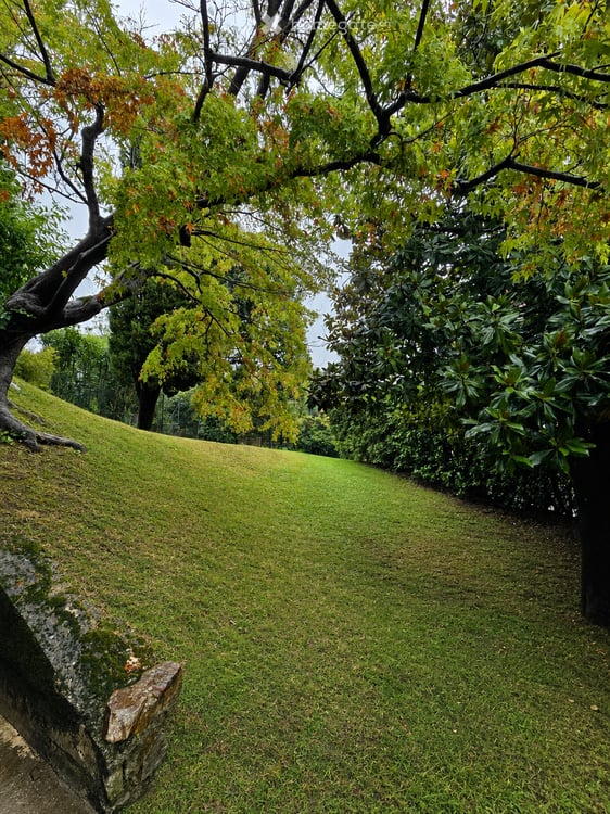 Appartamento 2,5 locali con giardino privato 4