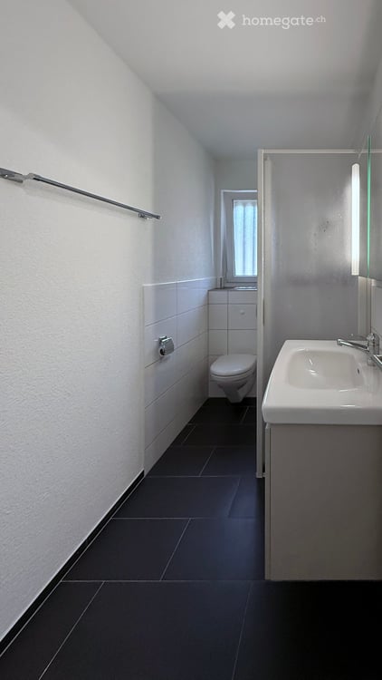 1-Zimmer-Wohnung mit Balkon in Adliswil an ruhiger Lage 7