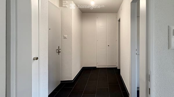 1-Zimmer-Wohnung mit Balkon in Adliswil an ruhiger Lage 6