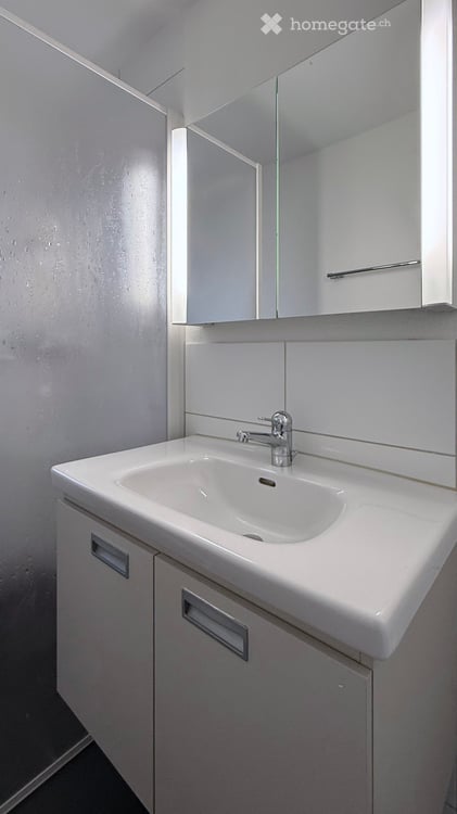 1-Zimmer-Wohnung mit Balkon in Adliswil an ruhiger Lage 9
