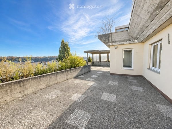 3.5-Zimmer-Terrassenwohnung mit 88 m² Terrasse & Weitsicht 4