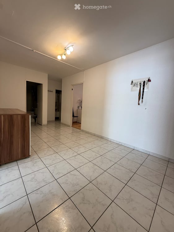 Grosszügige 4.5-Zimmerwohnung mit Balkon, Gemeinschaftsgarten & Tiefgaragenplatz in Basel 8