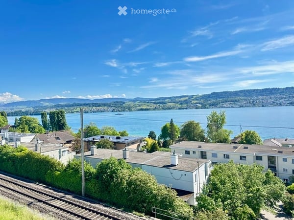 Exklusive 3.5-Zimmer-Terrassenwohnung mit traumhafter Panorama- Aussicht in Feldmeilen 2