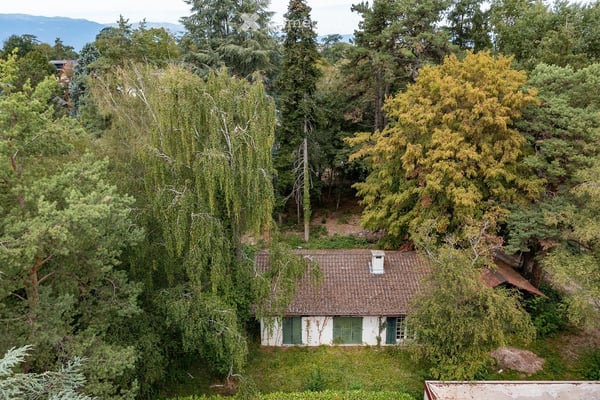 Vente aux enchères publiques des parcelles 316 et 318 d'Onex (1'711 m1 avec maison individuelle) 2