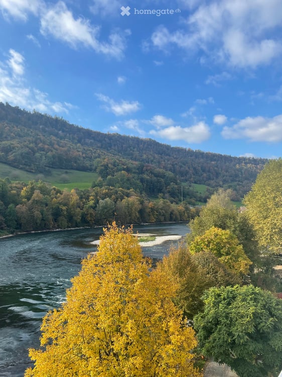 Charmante 3.5-Zimmer-Altbauwohnung im Aarburger Städtli mit Aareblick 23