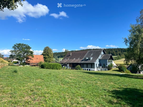 Flarzhaus mit Geschichte und Potenzial zum einzigartigen Bijou 9