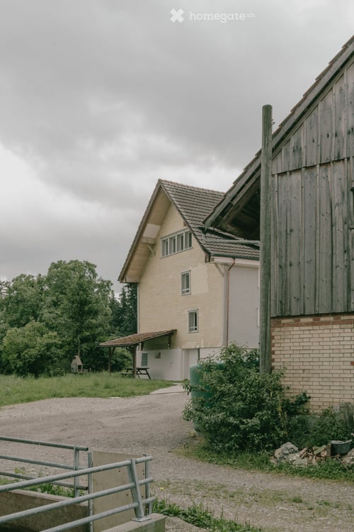 2.5 Zi - Wohnung im Grünen 10