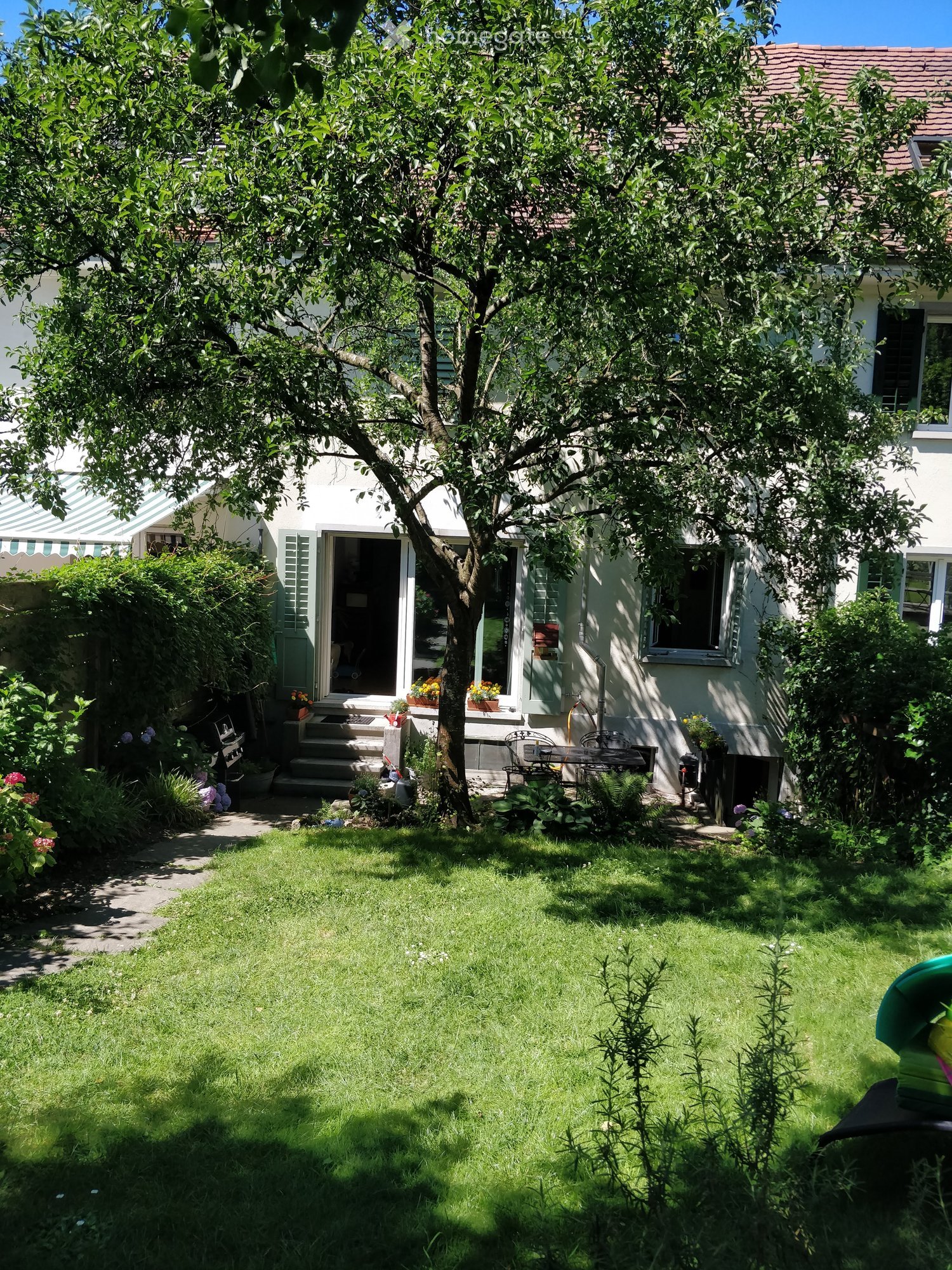 Well-maintained garden with a large tree, lawn, patio furniture, and flower pots near the house entrance.