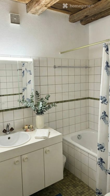 3 Wohnungen in Wilchingen - vermieten und gratis Wohnen 14
