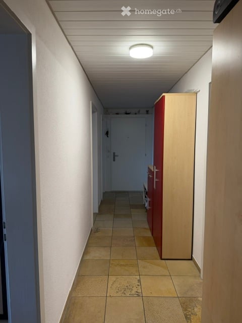 Wohnung in Winterthur 3