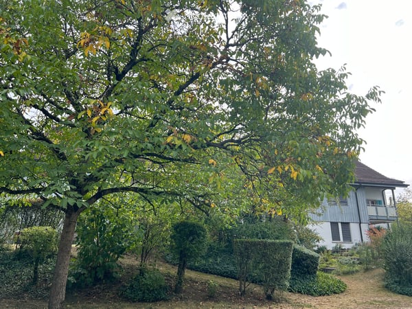 5.5. room duplex/maisonette in Watt next to Nature 9