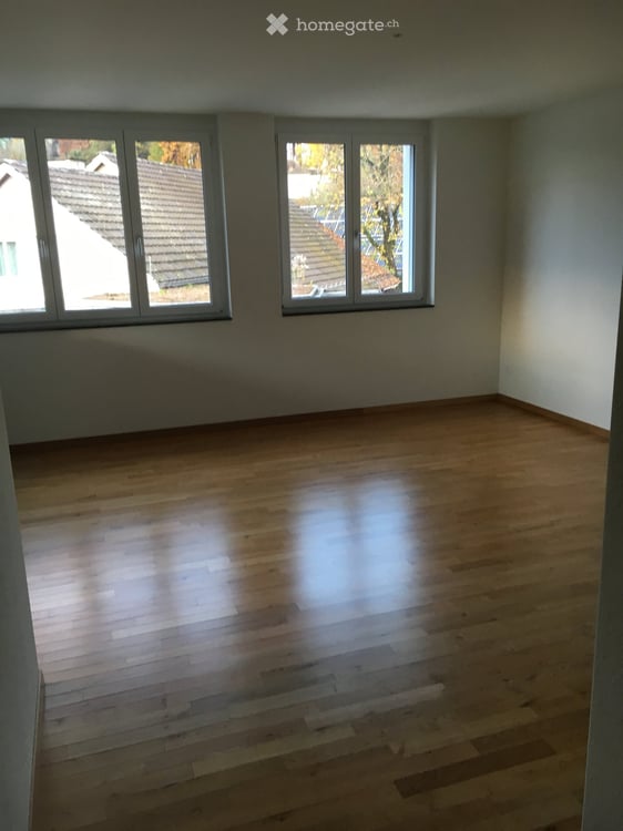 Moderne 3-Zimmer-Dachwohnung bietet unvergesslichen Sonnenaufgang in der Grünzone der Stadt Zürich 4