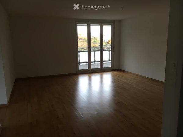 Moderne 3-Zimmer-Dachwohnung bietet unvergesslichen Sonnenaufgang in der Grünzone der Stadt Zürich 7