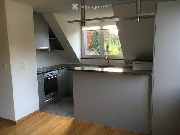 Moderne 3-Zimmer-Dachwohnung bietet unvergesslichen Sonnenaufgang in der Grünzone der Stadt Zürich 3