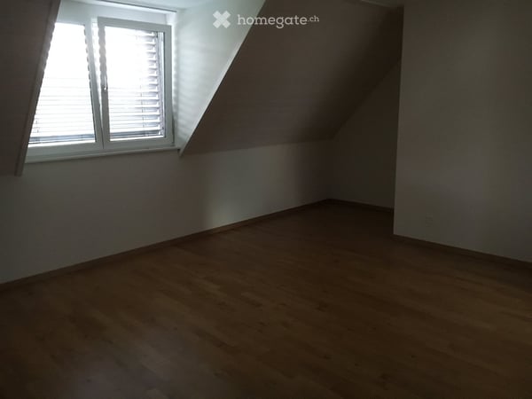 Moderne 3-Zimmer-Dachwohnung bietet unvergesslichen Sonnenaufgang in der Grünzone der Stadt Zürich 5
