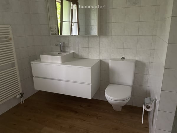 Duplex-/Maisonette-Wohnung in Zwillikon 3