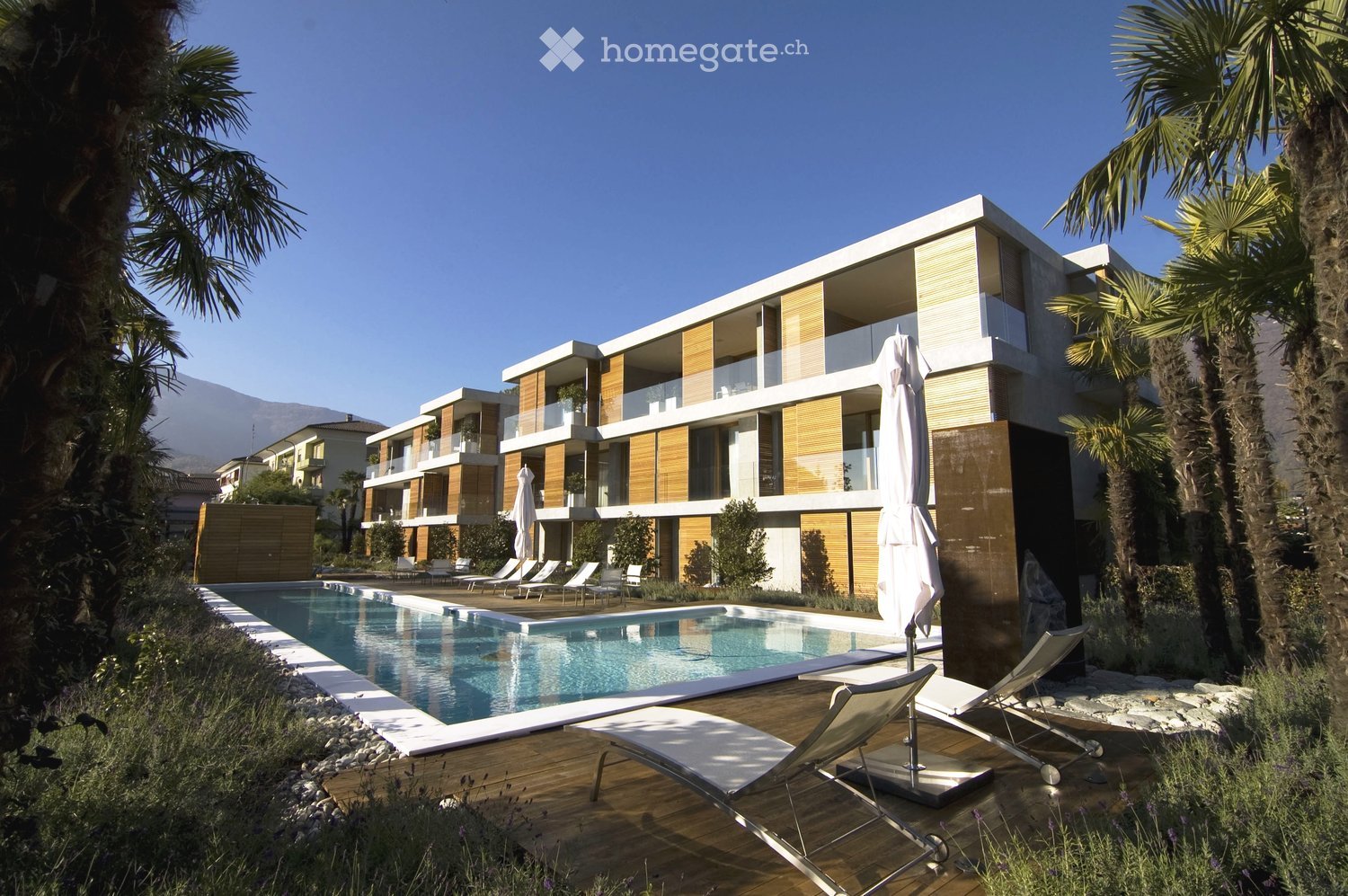 Modern residential complex with a swimming pool, lounge chairs, and palm trees in a landscaped garden area.