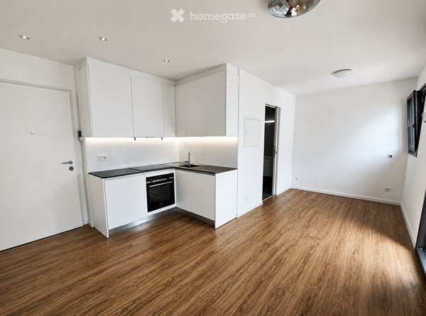 Bright Studio Apartment in a Modern New Building – Mendrisio 2