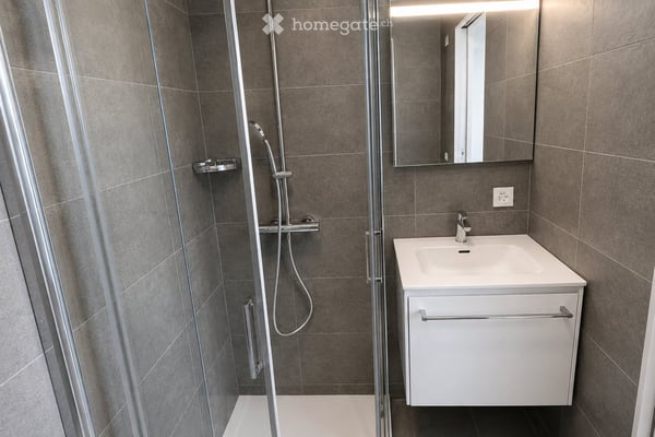 Bright Studio Apartment in a Modern New Building – Mendrisio 5