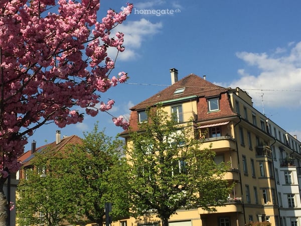 Wärme-isolierte 3.5-Zimmer-Dachwohnung mit Aussicht im grünen Neubadquartier 2
