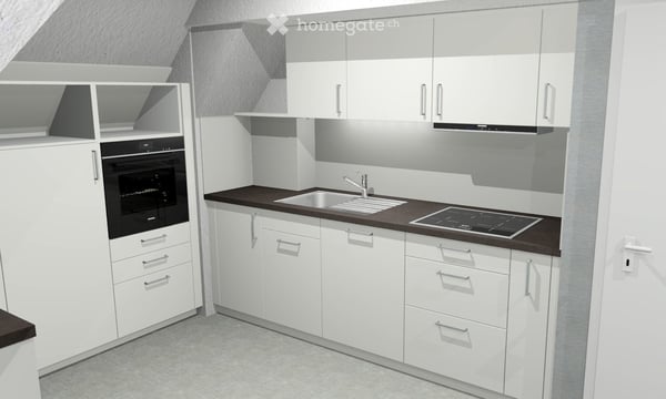 Wärme-isolierte 3.5-Zimmer-Dachwohnung mit Aussicht im grünen Neubadquartier 9