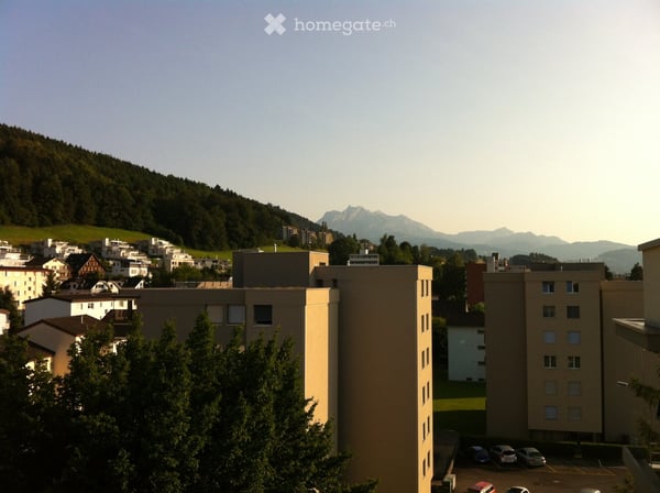 Helle 4.5-Zimmer-Wohnung mit Balkon und schöner Aussicht in Ebikon 2
