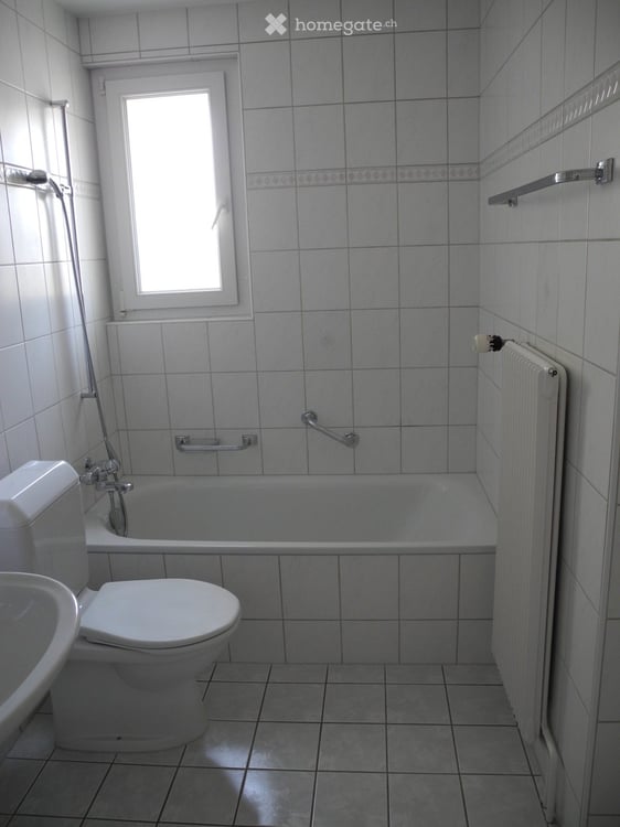 Helle 4.5-Zimmer-Wohnung mit Balkon und schöner Aussicht in Ebikon 3