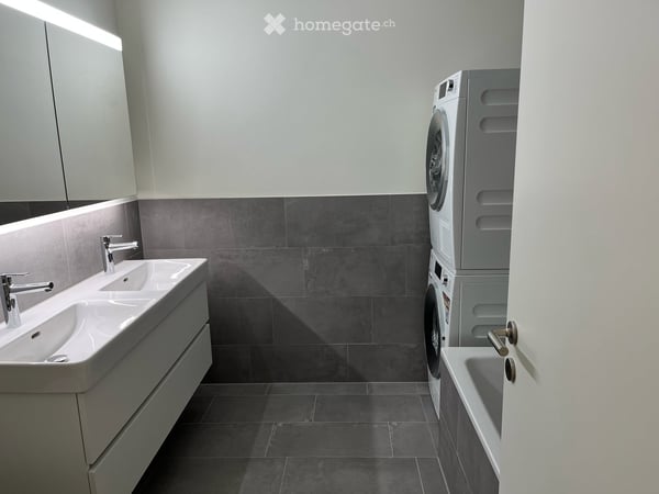 Duplex-/Maisonette-Wohnung in Basel 6