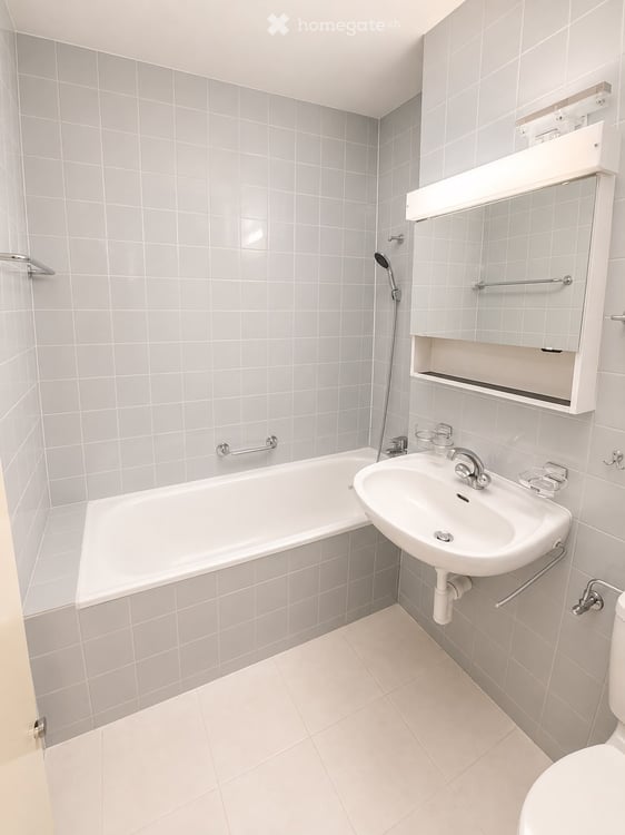 Charmante Wohnung mit Balkon, Einstellhallenplatz und herrlichem Ausblick in Basel-Gundeldingen 6