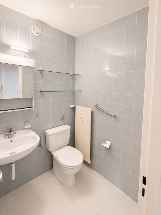Charmante Wohnung mit Balkon, Einstellhallenplatz und herrlichem Ausblick in Basel-Gundeldingen 7