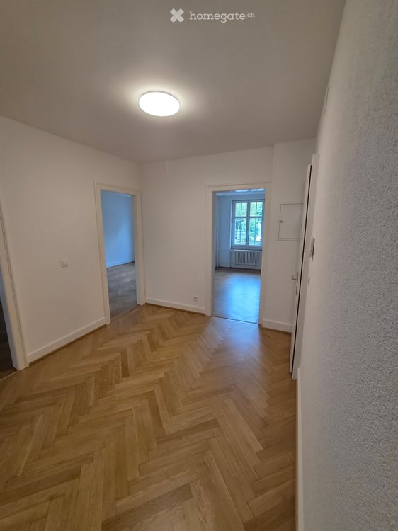 Helle, neu renovierte Wohnung in Basel 3